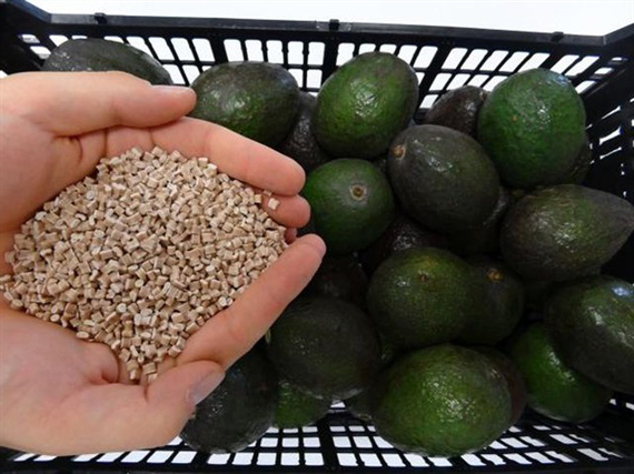 Mexico chế tạo thành công hạt nhựa từ quả bơ.